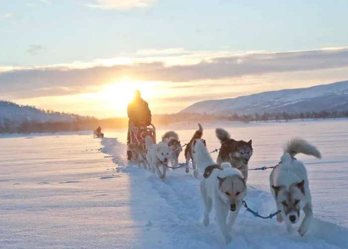Guesthouse / Huskyfarm Innset