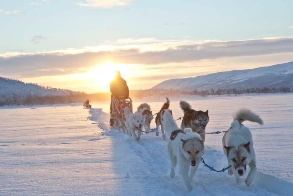 / Huskyfarm Camping